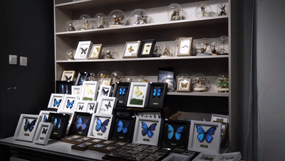 精准发力、多方协同——促进高校毕业生高质量充分就业见闻(图2)