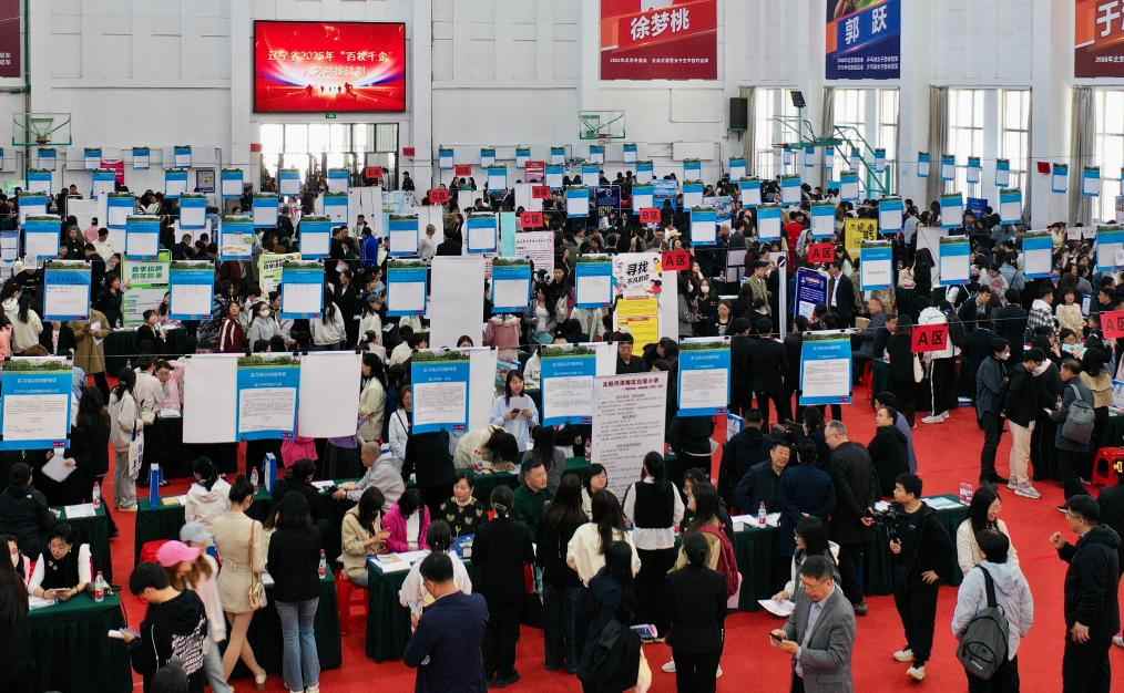 精准发力、多方协同——促进高校毕业生高质量充分就业见闻(图12)