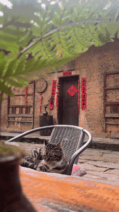 满足新业态 回应新需求——新职业涌现助力高质量发展(图16)