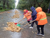风雨中的橙色坚守：环卫工人如何守护城市洁净防线(图2)