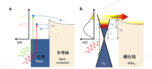 热载流子技术如何突破光伏效率极限与未来应用前景(图2)