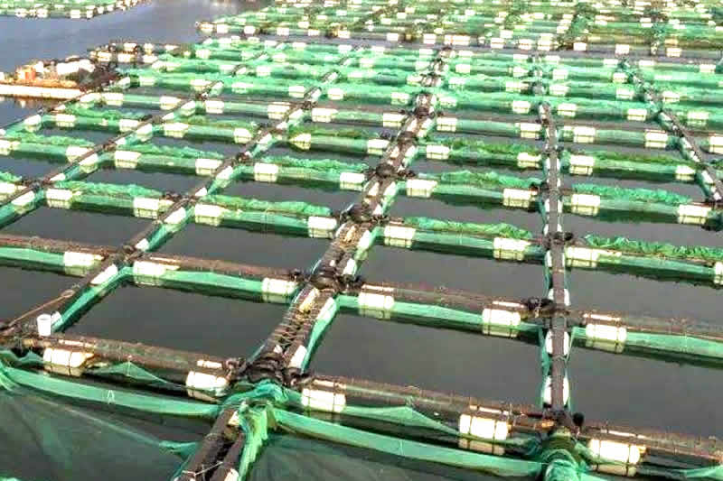 违法行为有连续或者继续状态的，处罚期限从行为终了之日起计算